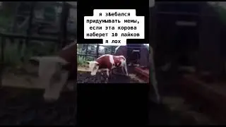 мем #shorts #смешно #юмор #рекомендации #смех #ржака