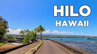 Driving Through Hilo, Hawaii | Scenic Tour of the Big Island in 4K