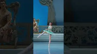 Феи из балета «Спящая красавица». НОВАТ