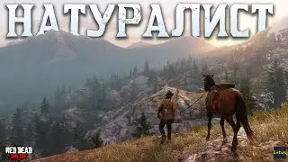 🌳 ВСЁ О РОЛИ НАТУРАЛИСТА В RED DEAD ONLINE 🐻 ПОЛНЫЙ ГАЙД 🔥