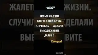 #newlife #мудрые_мысли #философия #цитаты #цитатадня #мотивация #психология