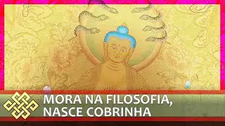 Vacuidade e antifilosofia