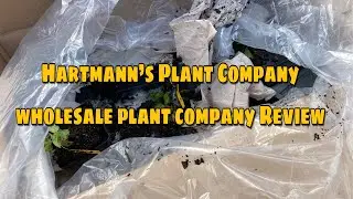 Hartmann’s Plant Company wholesale plant company Review