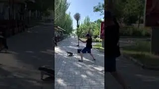 Отпугиватель собак