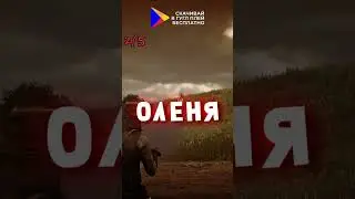 ПРОВЕРЯЕМ МИФЫ В RDR 2! 😱 