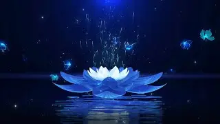 Fall Asleep In Less Than 3 Minutes ★ ︎Stress And Anxiety Relief ★ Goodbye Insomnia