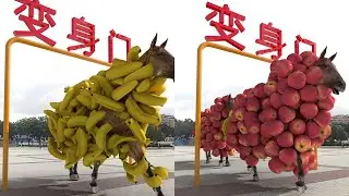 特效合集丨超长手机自制解压特效，穿过变身门真的变身了！#解压瞬间#特效#解压