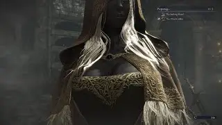 Average ELDEN RING NIGHTREIGN teamup