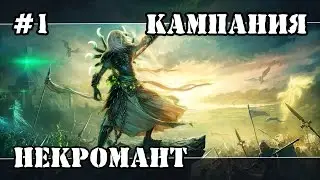 Герои 5 (Кампания Некромант) - Приманка (1 миссия 1 часть) прохождение