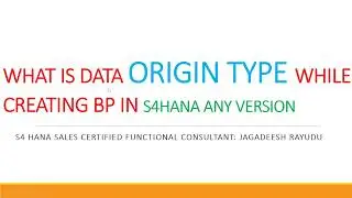 WHAT IS DATA ORIGIN TYPE WHILE CREATING BP IN S4HANA ANY VERSION