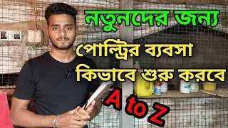 How To Start Poultry Business।। পোল্ট্রি মুরগির ব্যবসা কিভাবে শুরু করবে।।
