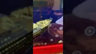 Saving the ship roblox titanic