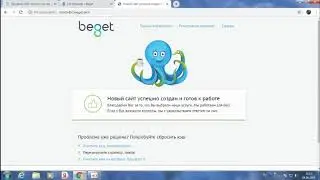 Обзор хостинга BEGET