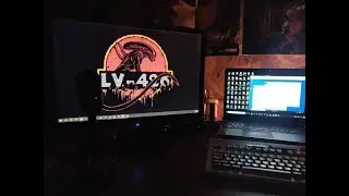 Устновка DFS и настройка