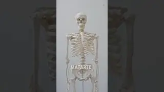 Datos perturbadores que nunca en tu vida, hubieras querido saber 💀 #shorts ￼