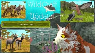 WildCraft | New Update! - Showcase