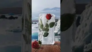 Gefrorene Rosen fotografieren? So geht’s 😍🌹 