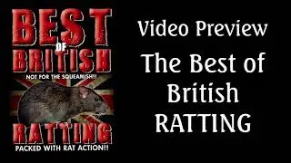 Rat Catchers