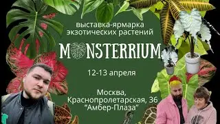 Орхидиум 2.0 || Выставка-ярмарка экзотических растений Monsterrium || 2025