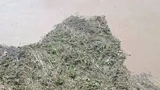 Satluj River near Lohiaan Punjab Flood News River Flowing over gidderwindi Railway Track