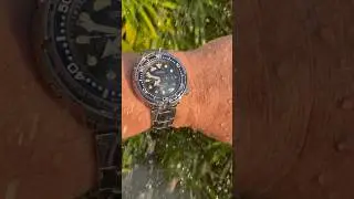 Jungle Rain Shower Seiko MM300 Tuna sbbn031