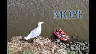 Море