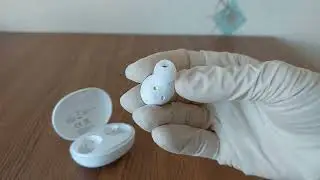 Внешний вид наушников. DIZO GoPods D