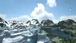 Ark
