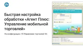 Быстрая настройка обработки «Агент Плюс: Управление мобильной торговлей» на «1С:УТ» редакции 10