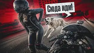 Ж*ПА В ОПАСНОСТИ l БУЛКИ НА ПРОГУЛКЕ #1