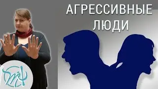 Общение с агрессивными людьми. Источники агрессии. Два типа реакции на агрессию