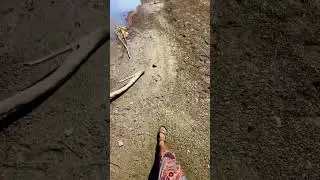 #nature #окунево #природа #путешествия #lake #travel #animals #outdoors #омск