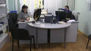 Выплаты опекунам 12+