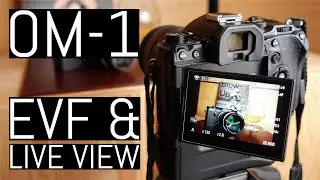 OM System OM-1: Electronic Viewfinder and Live View Deep Dive