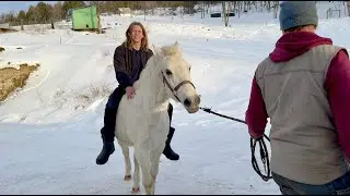 Took our RESCUE horses to the VET | OUR DAY DID NOT GO AS PLANNED