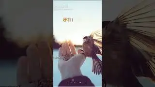 #sameykimti
