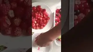 собрала ягоды и сделала сладенькое#shots