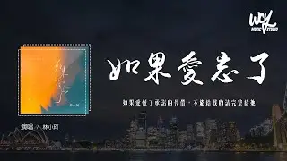 林小珂 - 如果爱忘了 (原唱：戚薇)「如果爱懂了承诺的代价，不能给我的请完整给她」(4k Video)【動態歌詞/pīn yīn gē cí】