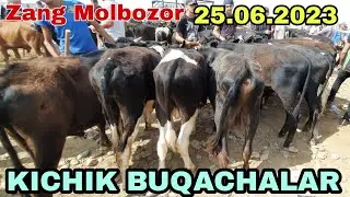 KICHIK BUQACHALAR NARXLARI QANDAY BO'LDI ZANG MOLBOZORDA
