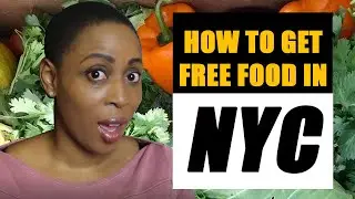 HOW DO COMMUNITY FRIDGES WORK | LIFE IN NYC | PAY IT FORWARD