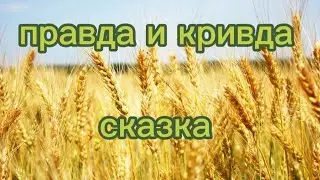 Русская народная сказка (Афанасьев)