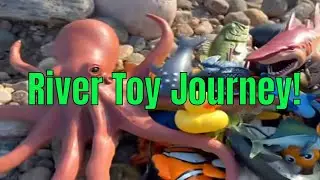 River Toy Adventure: Learn Names!