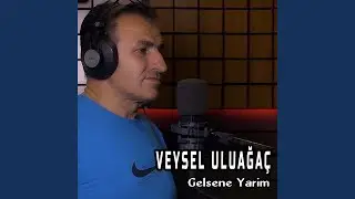 Gelsene Yarim