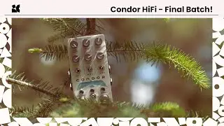 Last Chance for a Tone Bird!