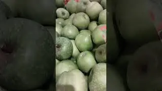 Яблоки Гренни Смит.Цена.Магазин Сильпо