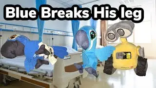 Rio Stupid Show:Blue breaks his leg!