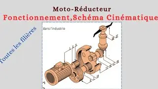 Moto-Réducteur à Engrenages : Fonctionnement & Schéma Cinématique