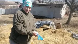 Обзор территории для животных,уборка соломы