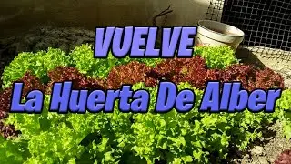 La Huerta Del Alber! Volvemos Para Quedarnos! No Os Lo Podéis Perder!!