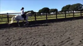 Sadie and her new horse Roger